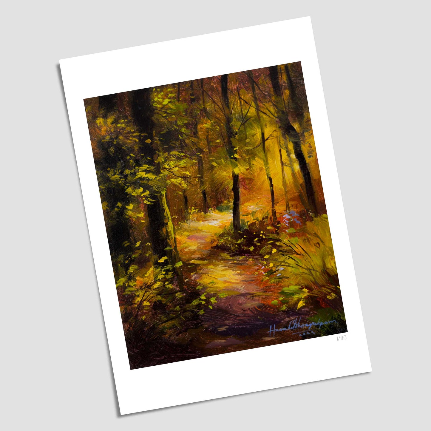 Road to The Sunlit Forest (Print)
