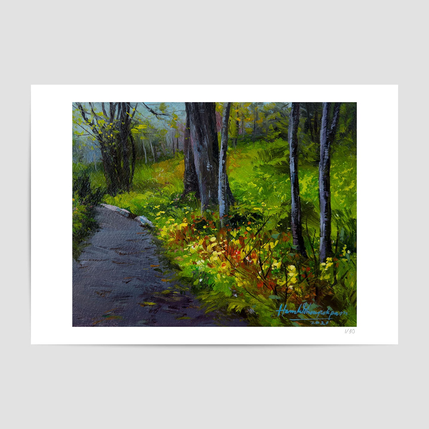Beneath the Canopy