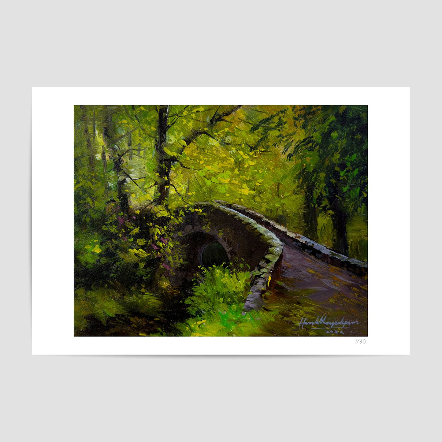 Journey through Enchanted Forest