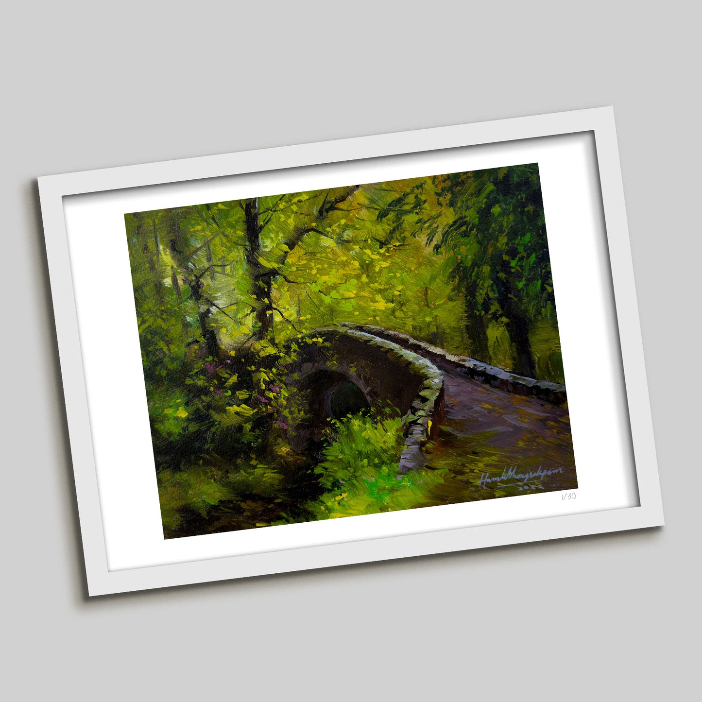 Journey through Enchanted Forest