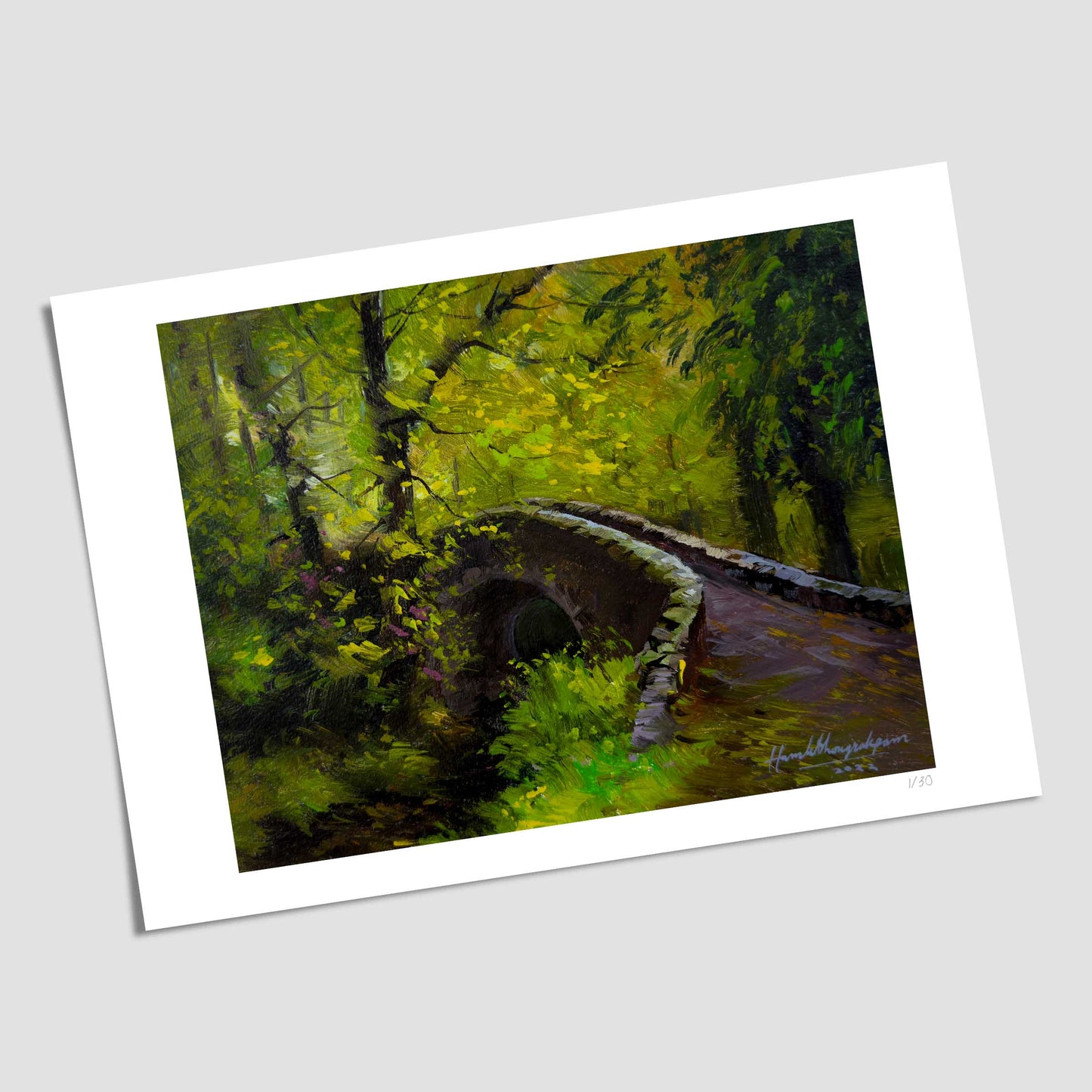 Journey through Enchanted Forest