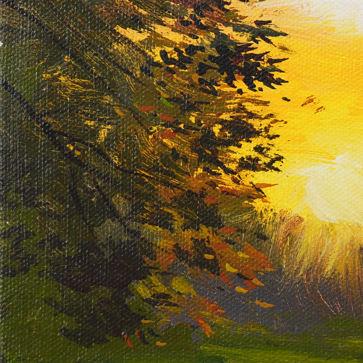 While the Light Remains