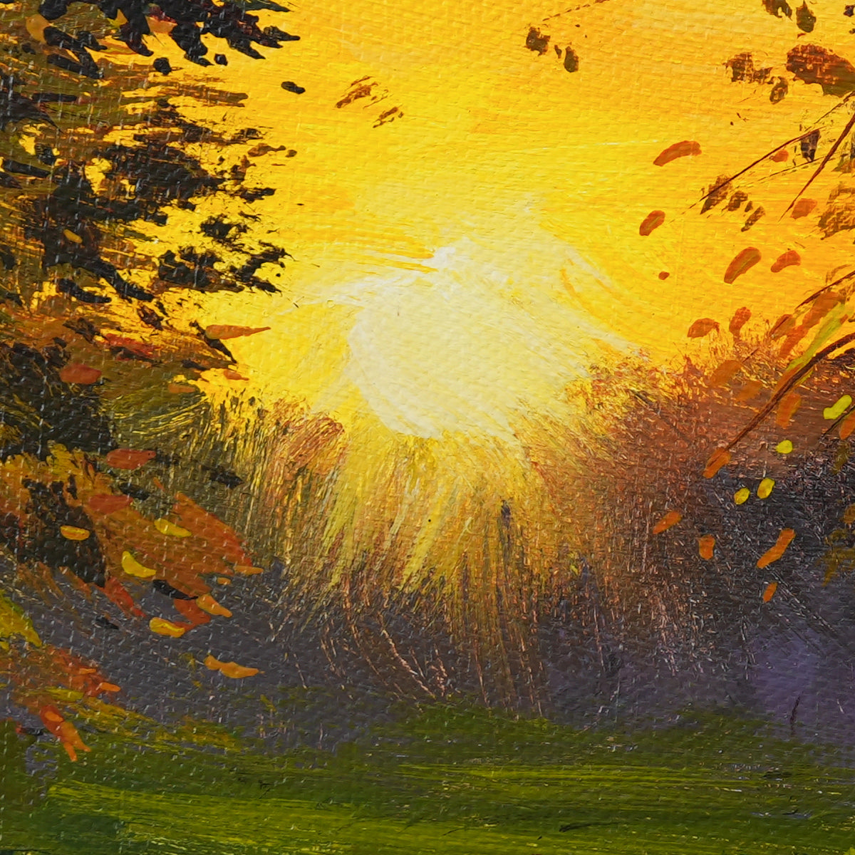 While the Light Remains