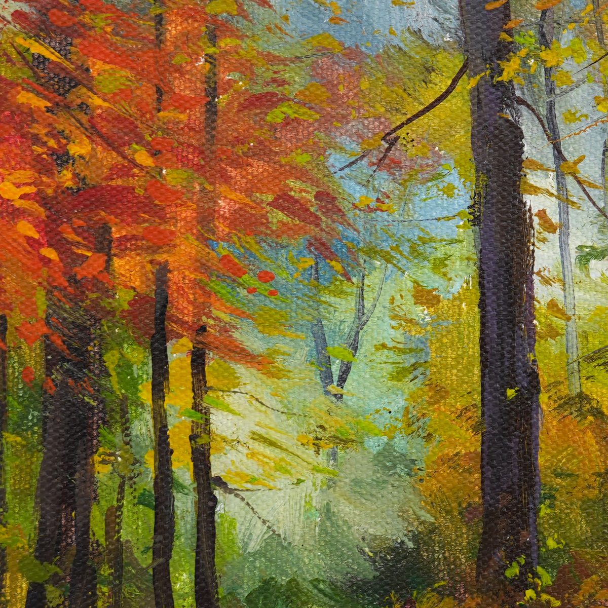 The Season Between