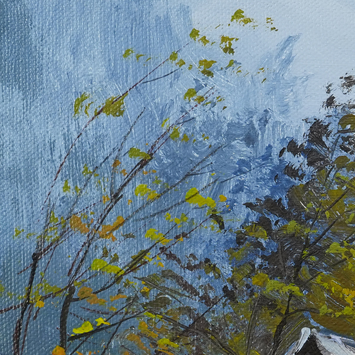 Where the Breeze Goes